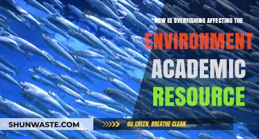 Overfishing's Environmental Impact: A Comprehensive Academic Resource Guide