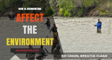 Overhunting's Devastating Impact: How Wildlife Loss Harms Our Environment