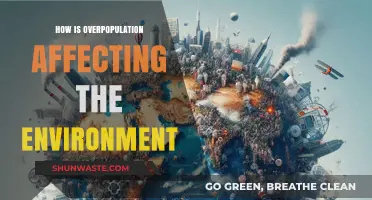 Overpopulation's Environmental Impact: Unsustainable Strain on Earth's Resources and Ecosystems
