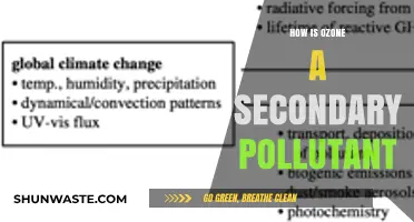 Ozone: A Secondary Pollutant and Its Sources