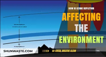 Ozone Depletion's Impact: Environmental Consequences and Urgent Global Concerns