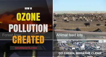 Ozone Pollution: Human Activities and Their Impact