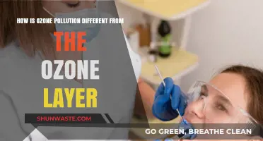 Ozone Pollution vs Layer: What's the Difference?