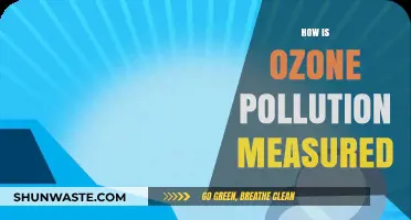 Measuring Ozone Pollution: Methods and Metrics
