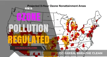 Regulating Ozone Pollution: Strategies and Challenges