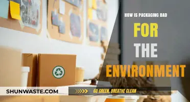 The Hidden Environmental Costs of Excessive Packaging Waste