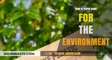 Eco-Friendly Paper: Sustainable Benefits for a Greener Environment