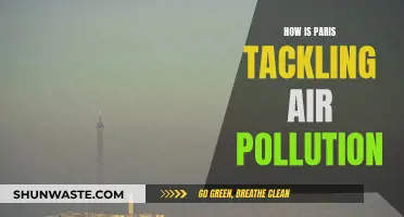 Paris' Air Pollution: Strategies and Solutions