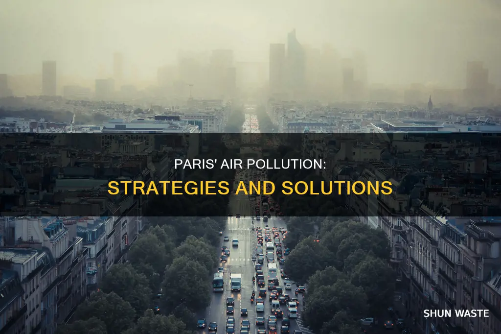 how is paris tackling air pollution