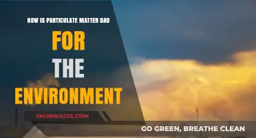 Particulate Matter's Environmental Impact: Harmful Effects and Urgent Solutions