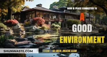 Peace and the Planet: How Environmental Health Fosters Harmony