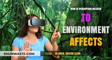 How Environmental Factors Shape Our Perception and Reality