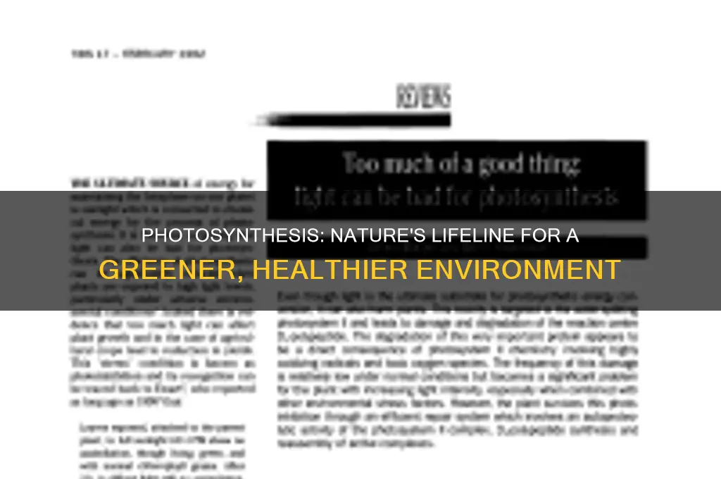 how is photosynthesis helpful for the environment