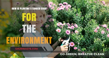 Planting Gardens: A Simple Yet Powerful Way to Heal Our Planet