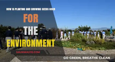 Planting Seeds: Nurturing a Greener, Healthier Planet Naturally