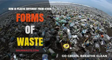 Plastic vs. Other Waste: Key Differences and Environmental Impacts
