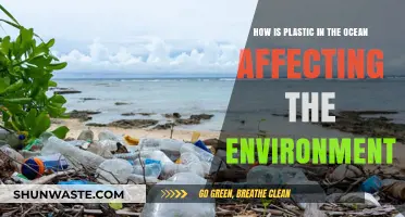 Ocean's Plastic Crisis: Devastating Environmental Impacts and Urgent Solutions