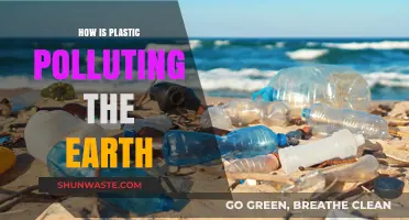 Plastic Pollution: Earth's Choking Crisis