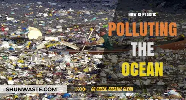 Plastic Pollution: Ocean's Perilous Plight
