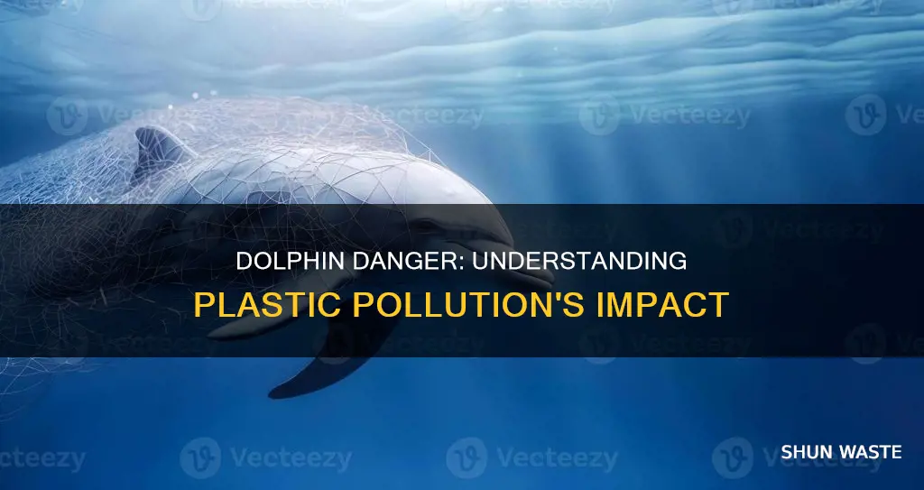 how is plastic pollution affecting dolphins