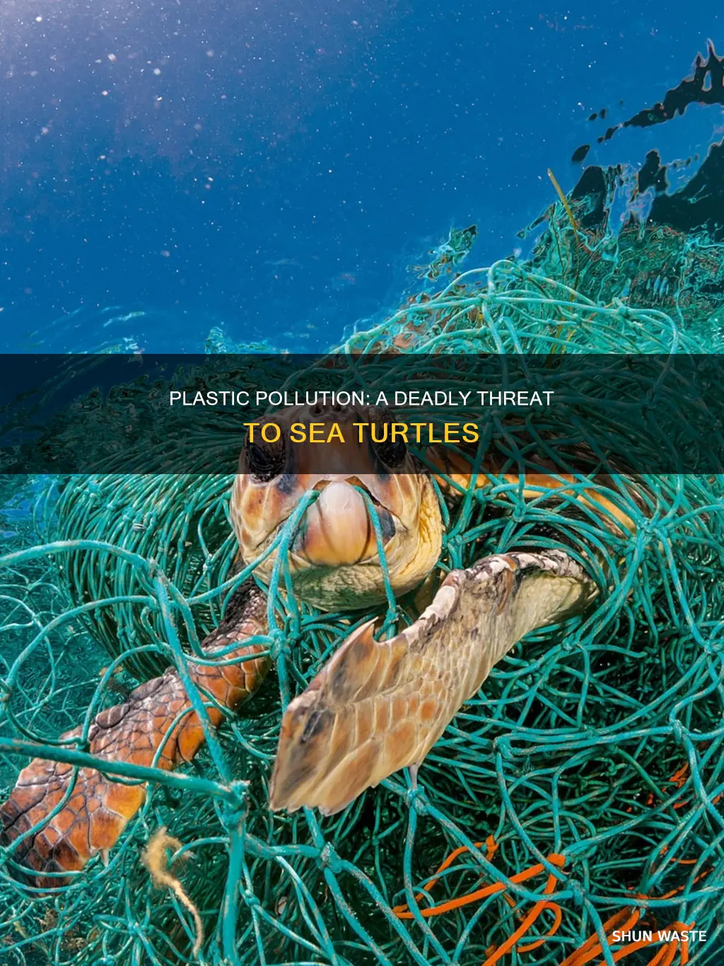 how is plastic pollution affecting sea turtles