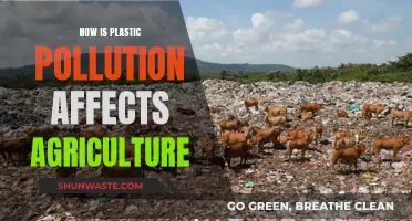 Plastic Pollution's Impact on Agriculture: A Growing Concern