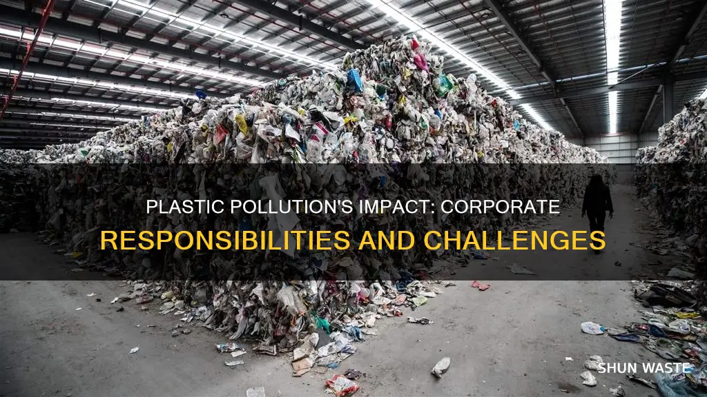 how is plastic pollution affects companies