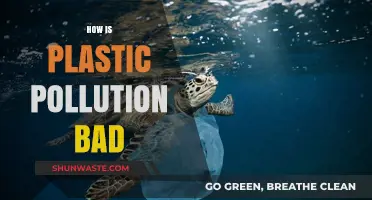 Plastic Pollution: A Deadly Threat to Our Planet