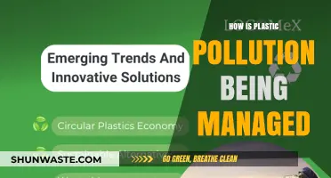Managing Plastic Pollution: Global Strategies and Initiatives