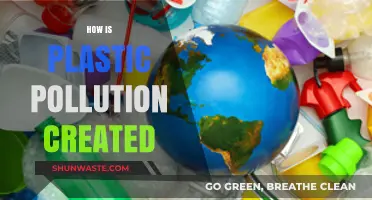 Plastic Pollution: A Man-Made Crisis