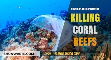 Plastic Pollution: Killing Coral Reefs