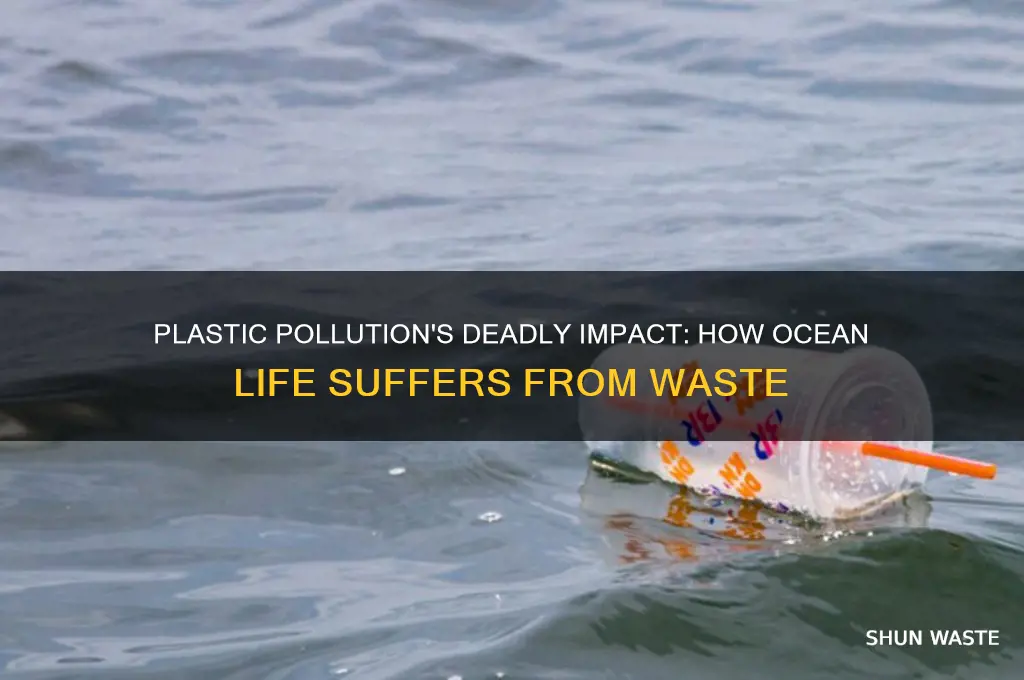 how is plastic waste causing harm to the sea