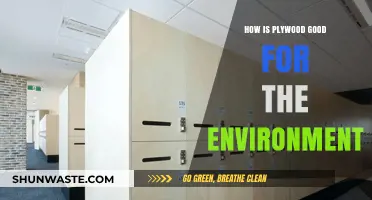 Eco-Friendly Plywood: Sustainable Benefits for a Greener Environment