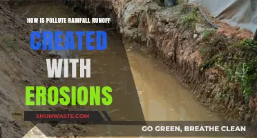 Rainfall, Runoff, and Pollution: The Erosion Connection