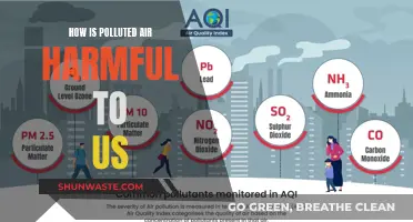 Air Pollution: A Slow Poison for Humans