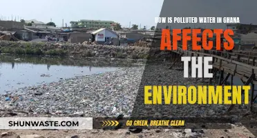 Ghana's Polluted Water: Environmental Impact and Concerns