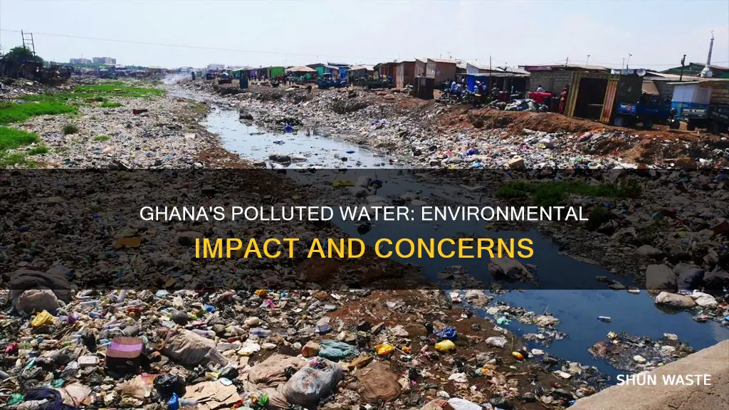 how is polluted water in ghana affects the environment