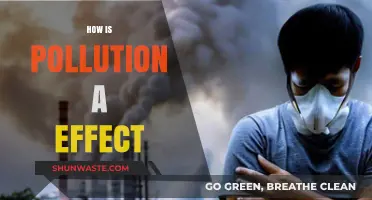 Pollution's Impact: A Hazardous Effect on Our Planet