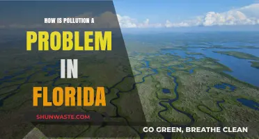 Florida's Pollution Crisis: A Growing Environmental Concern