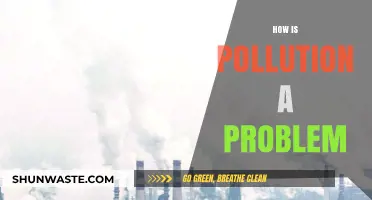 Pollution's Impact: A Global Problem