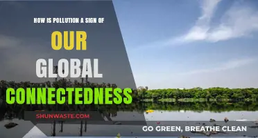 Pollution's Global Reach: Our Connected World's Dark Side