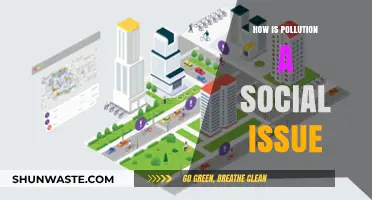 Pollution's Social Impact: A Global Concern