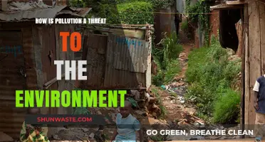 Pollution's Environmental Threat: Understanding the Danger