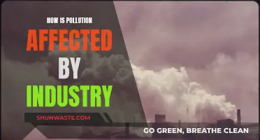 Industrial Impact: Pollution's Unseen Culprit