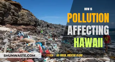 Hawaii's Pollution Crisis: Impact and Solutions