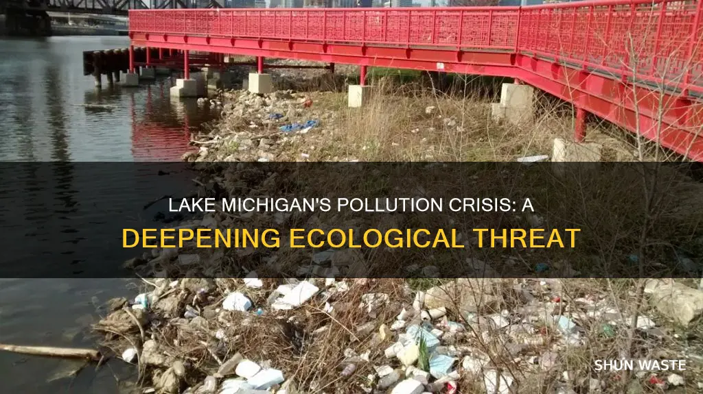 how is pollution affecting lake michigan