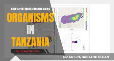 Pollution's Impact on Tanzania's Biodiversity