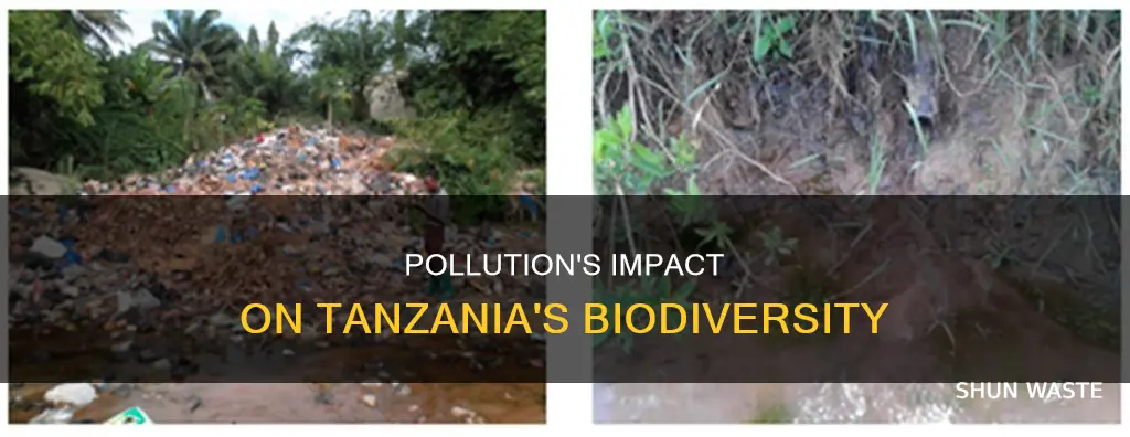 how is pollution affecting living organisms in tanzania