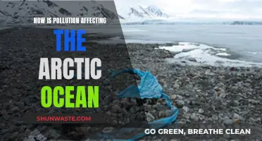 Arctic Ocean Pollution: Understanding the Impact and Severity