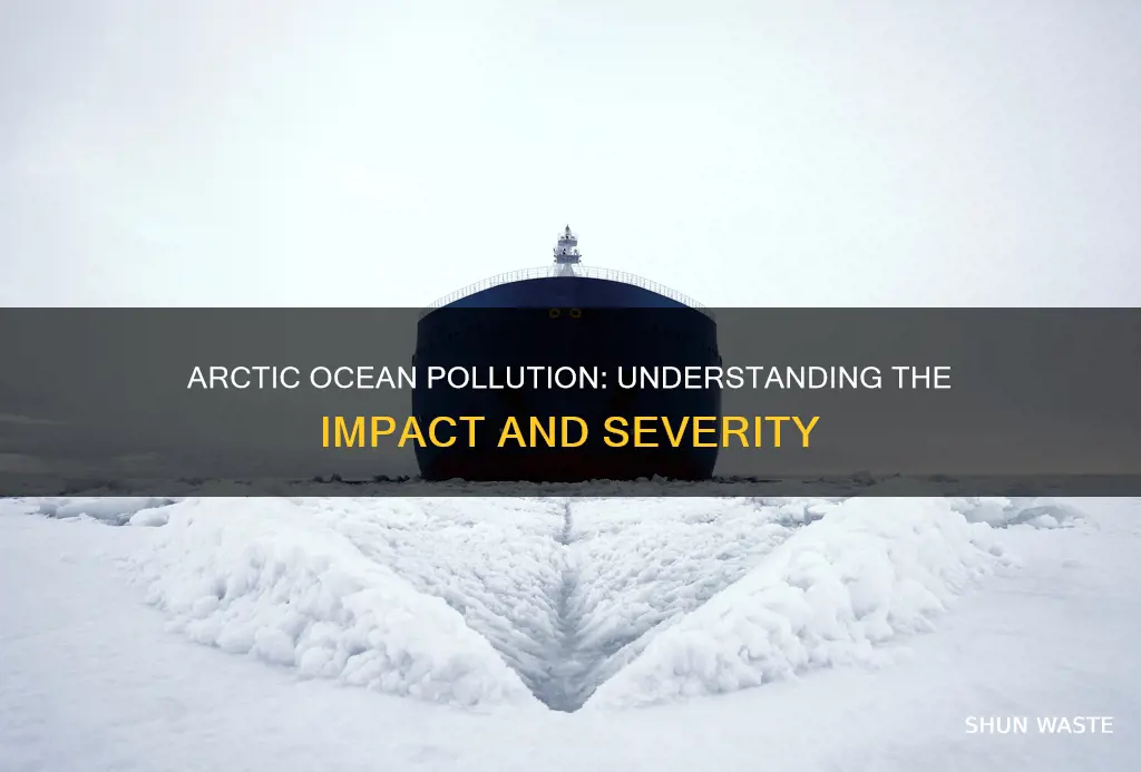 how is pollution affecting the arctic ocean